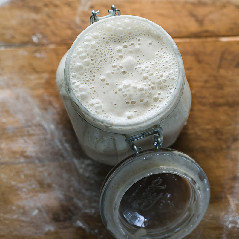 Fermentação Natural